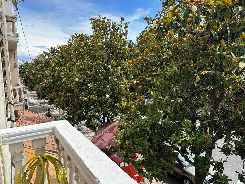 City Center Shkodra B&B מראה חיצוני תמונה